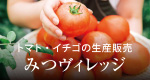 トマト・イチゴの生産販売 みつヴィレッジ